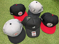 オールスター使用球 マイナビオールスターゲーム2025 使用済み試合球 - NPB