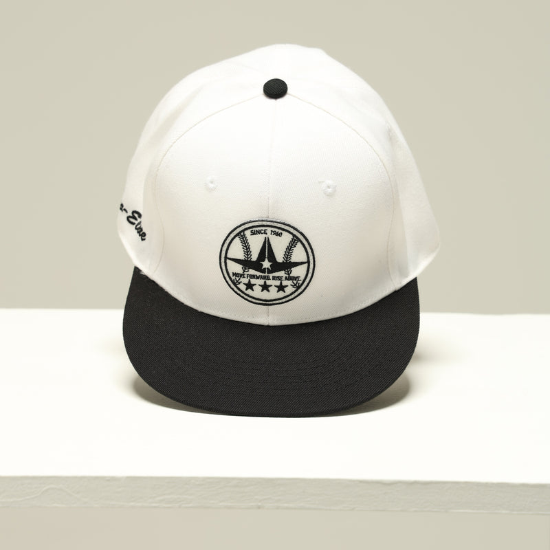 FLAT VISOR CAP フラット バイザーキャップ – allstarjapan