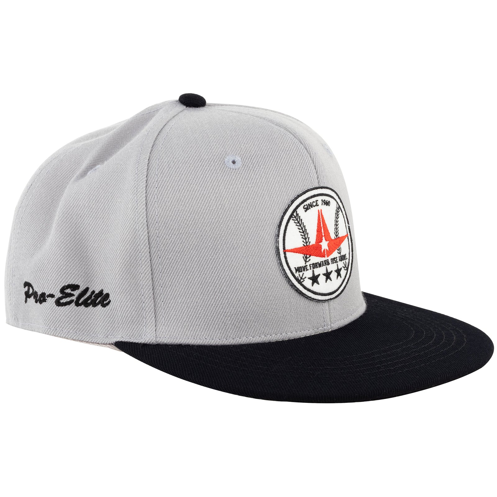 FLAT VISOR CAP フラット バイザーキャップ NEWカラー – allstarjapan